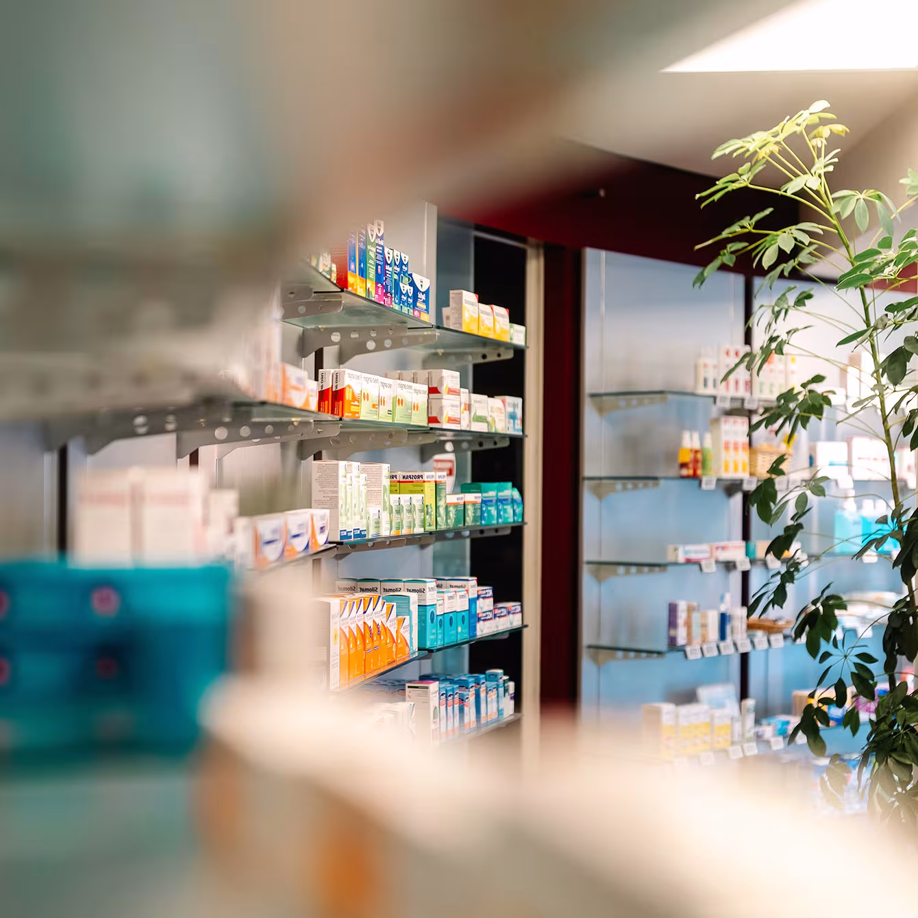 Pharmazeutische Dienstleistungen Ihrer Apotheken in Cottbus